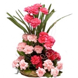 20 Pink Carnations Basket
